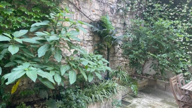 Le Rouget Lejlighed Beaucaire  Eksteriør billede